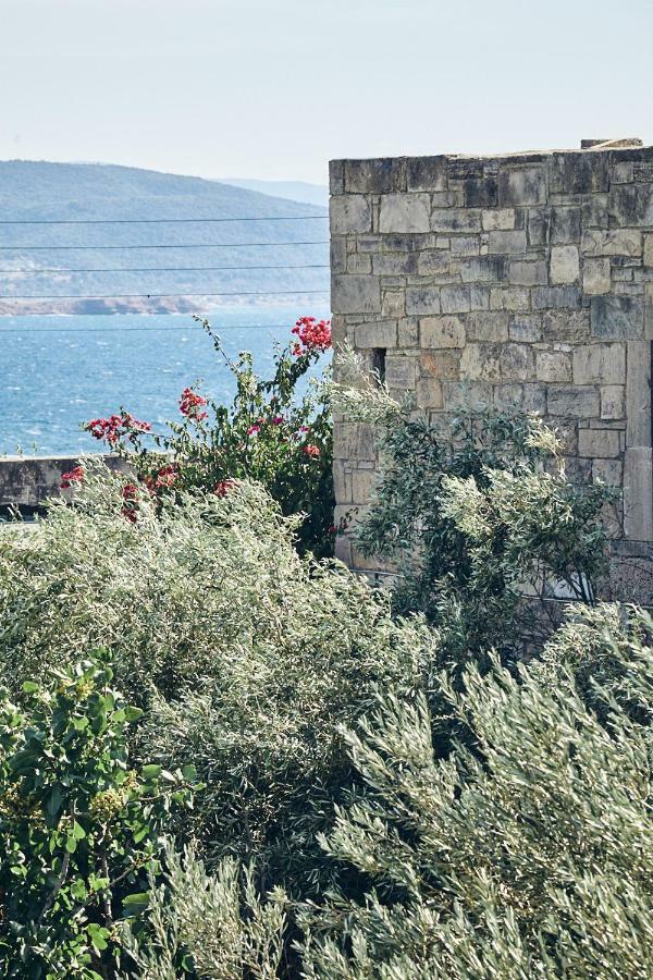 Nikolaou Art Residence Aegina Exterior foto