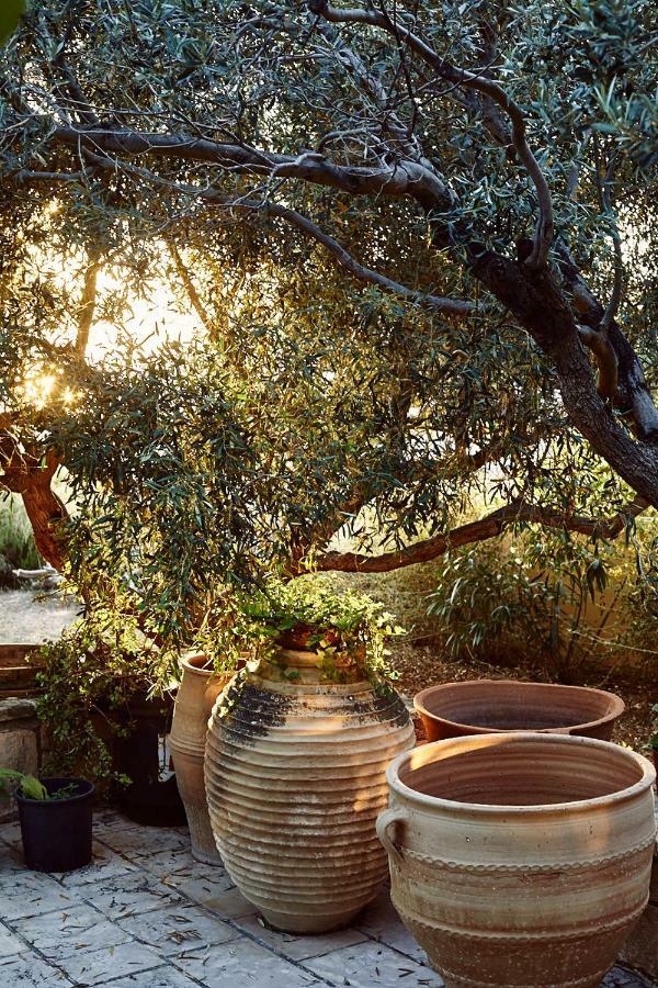 Nikolaou Art Residence Aegina Exterior foto